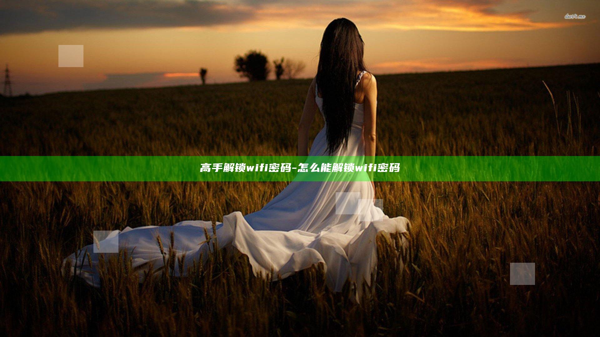 高手解锁wifi密码-怎么能解锁wifi密码